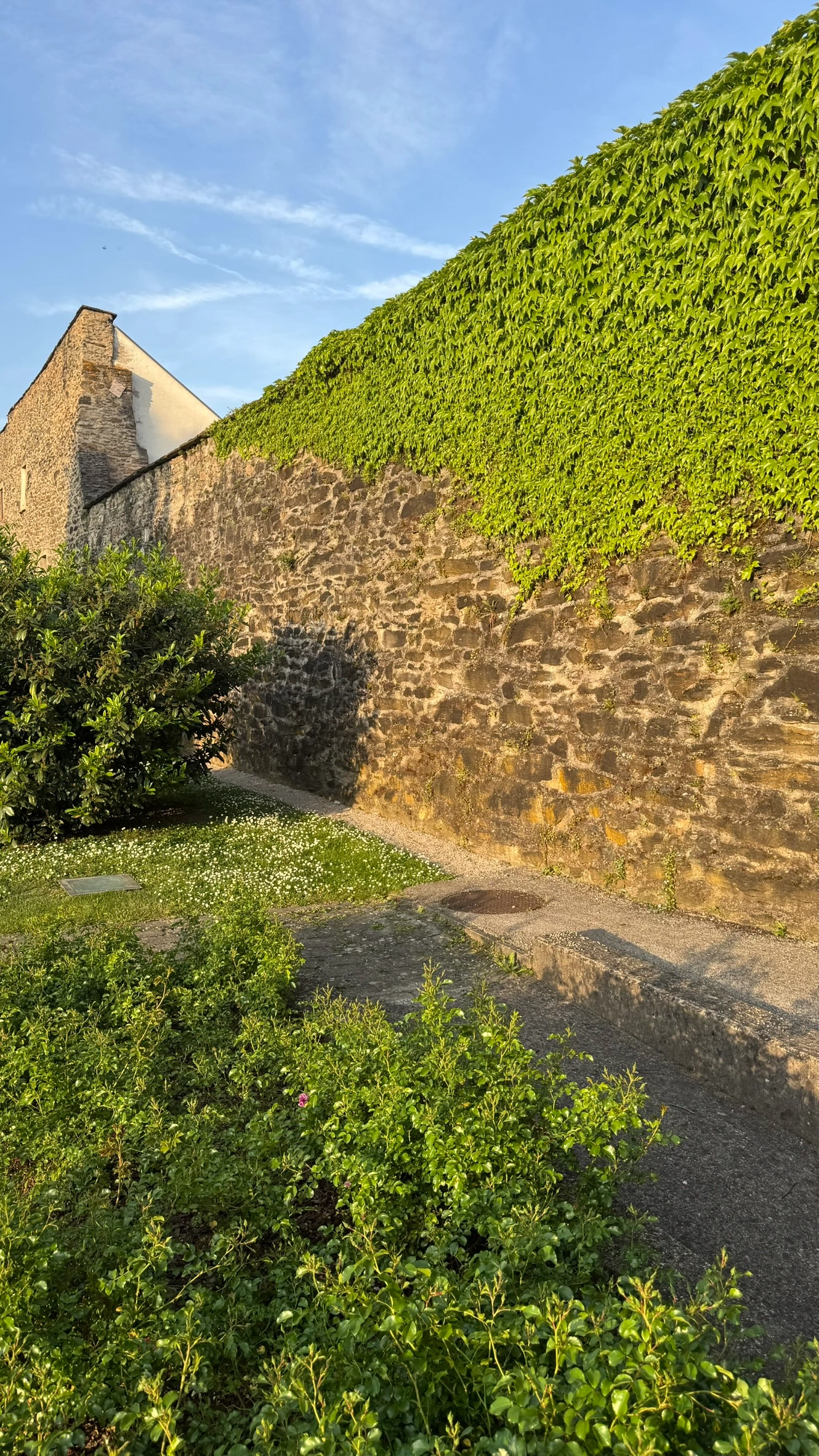 "Grabengarten" and the north-west section of the town wall