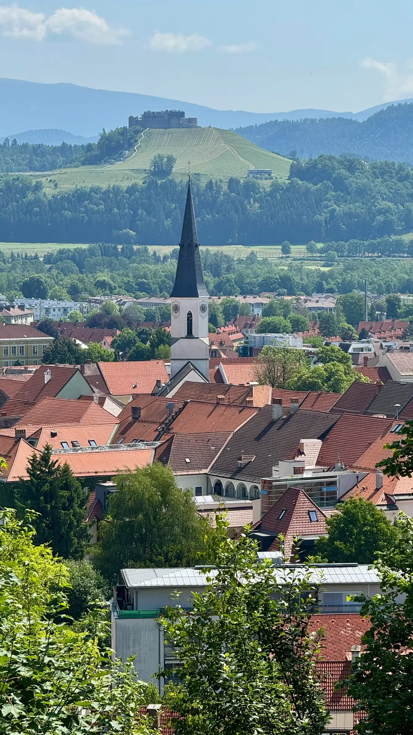 1_FullSizeRender (31)