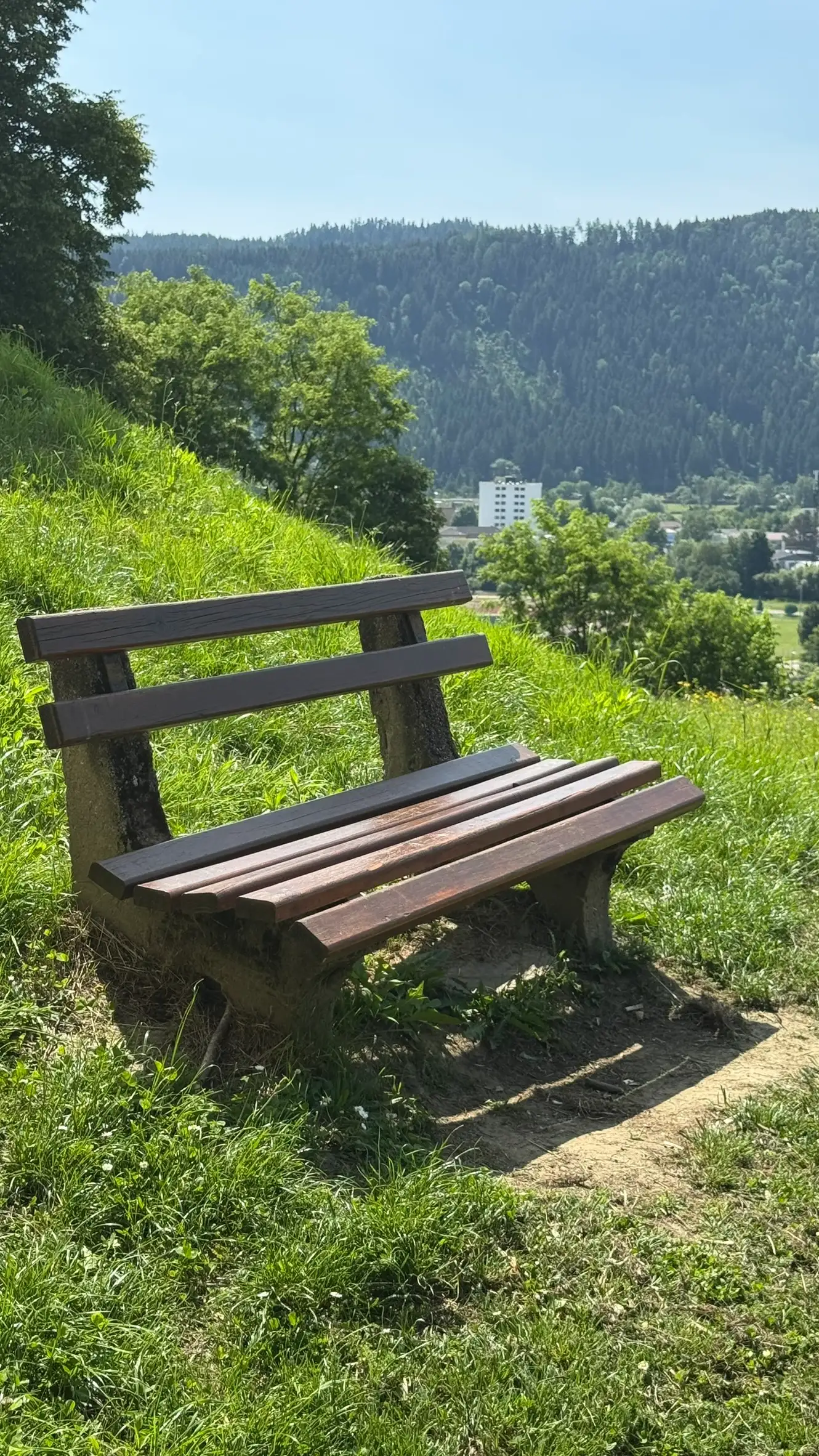 3_FullSizeRender (46)