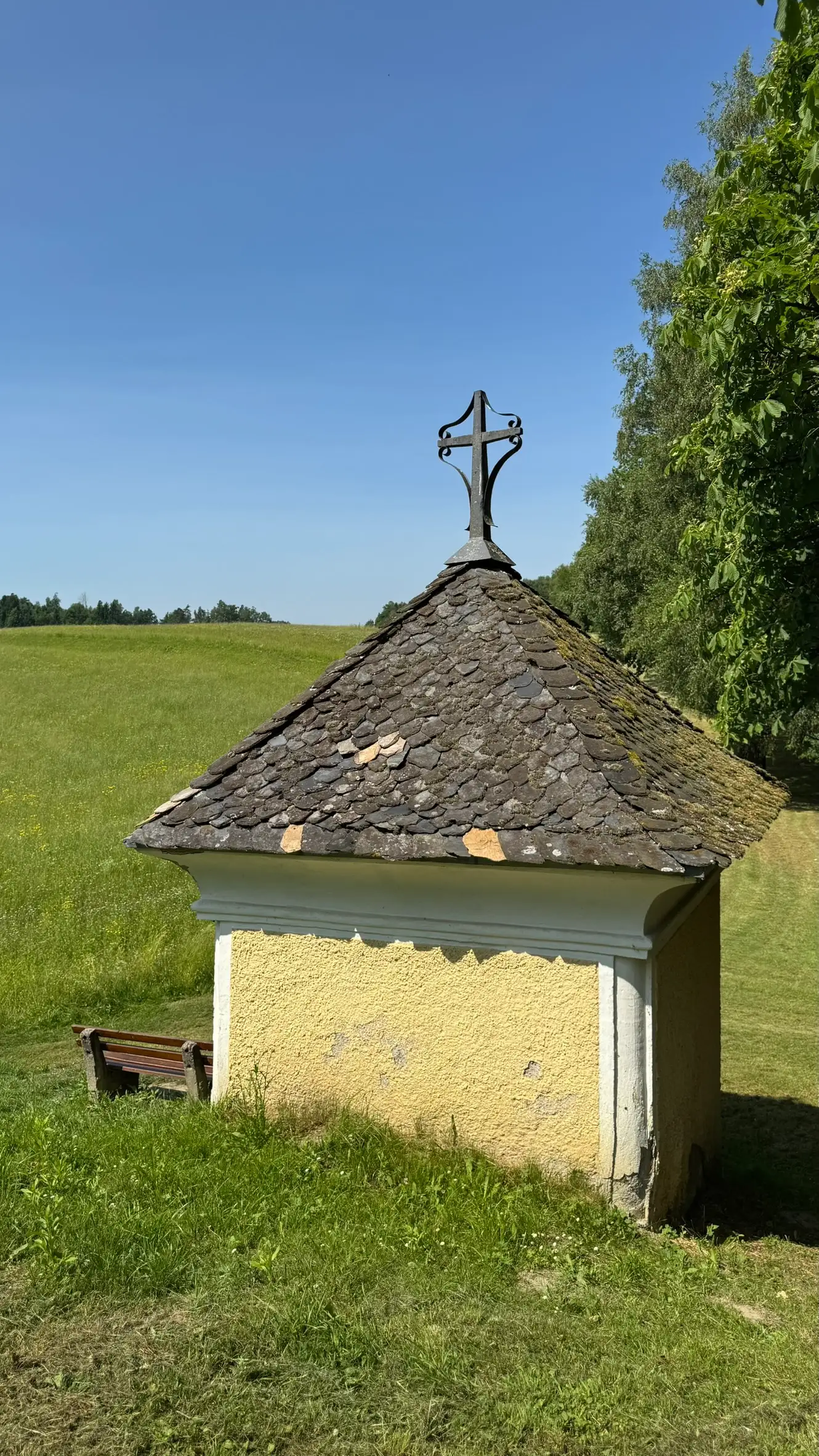 4_FullSizeRender (2)