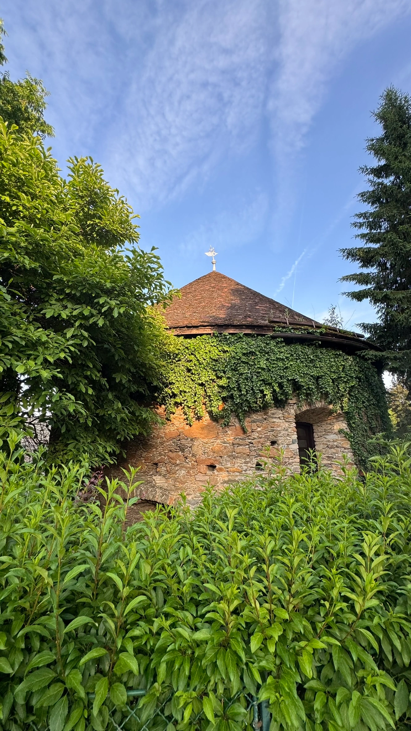 Vegetation auf der runden Bastionsmauer.