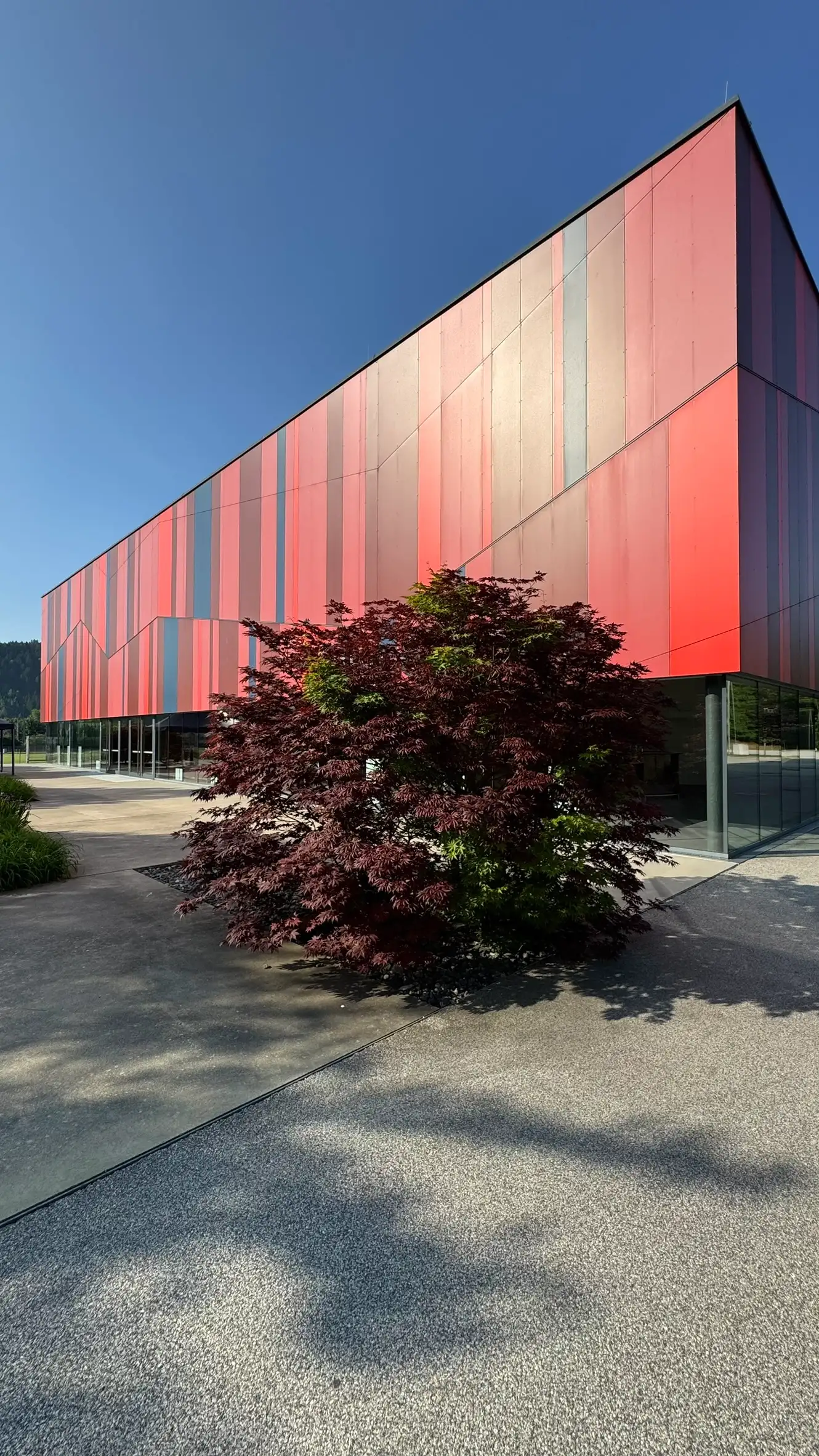 Die rechteckige Hallenstruktur besticht durch eine klare, geometrische Form mit präzisen Kanten.