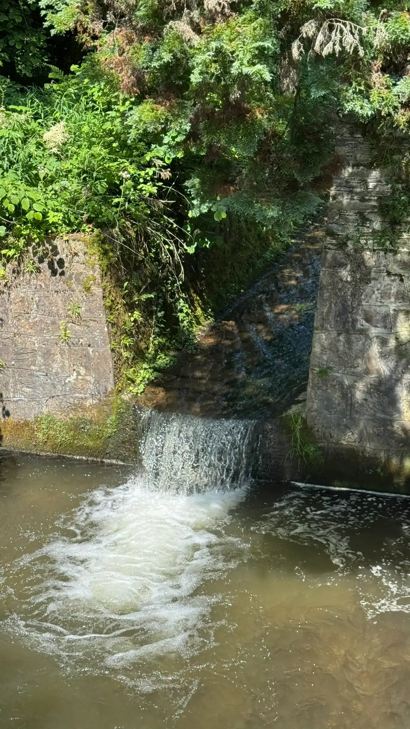 Einlauf des rechteckigen Beckens mit mineralreichem Wasser aus der Vitusquelle