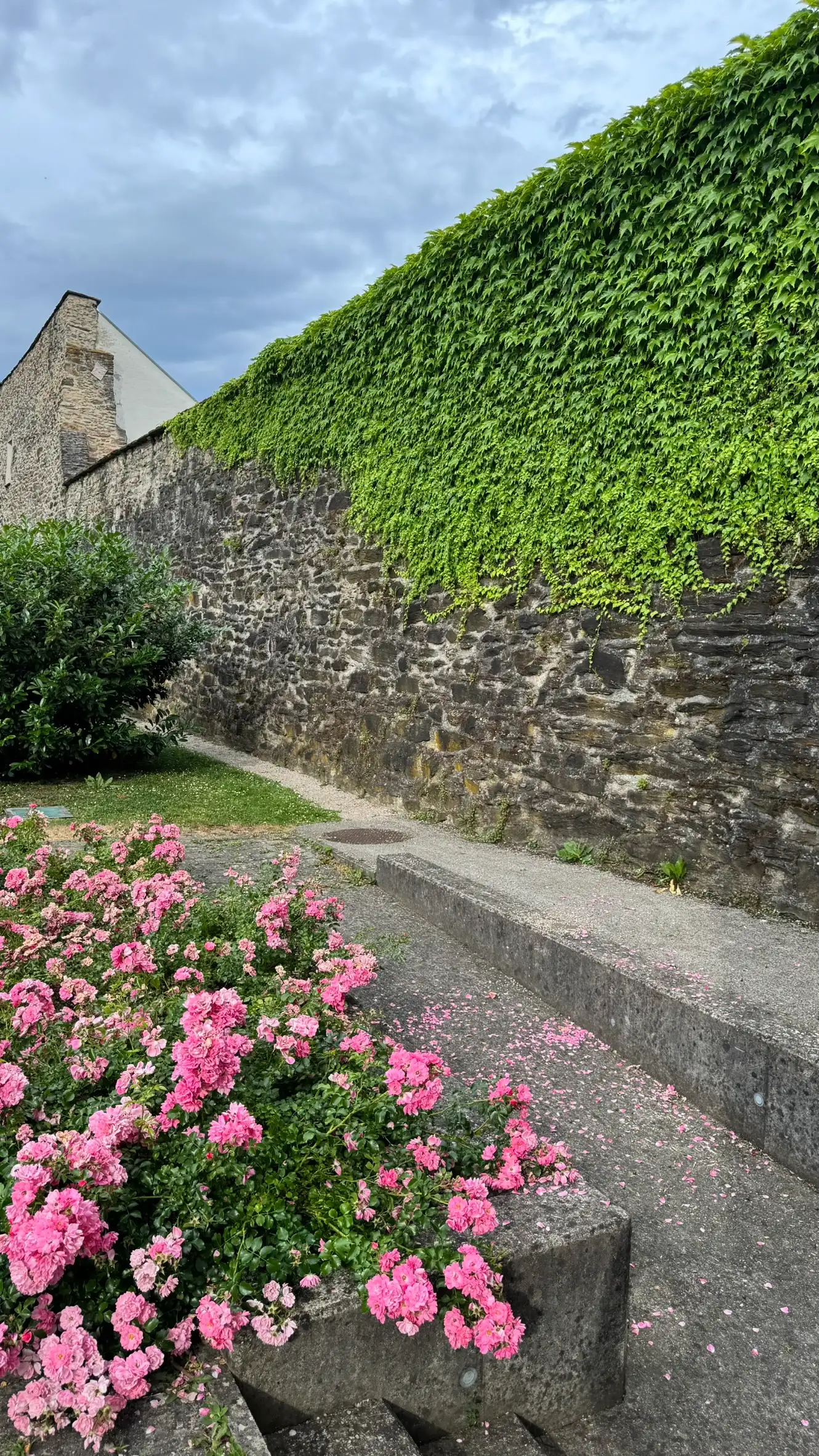 The "Grabengarten" (moat garden) spans about 2,200 m², and is a popular spot for relaxation.