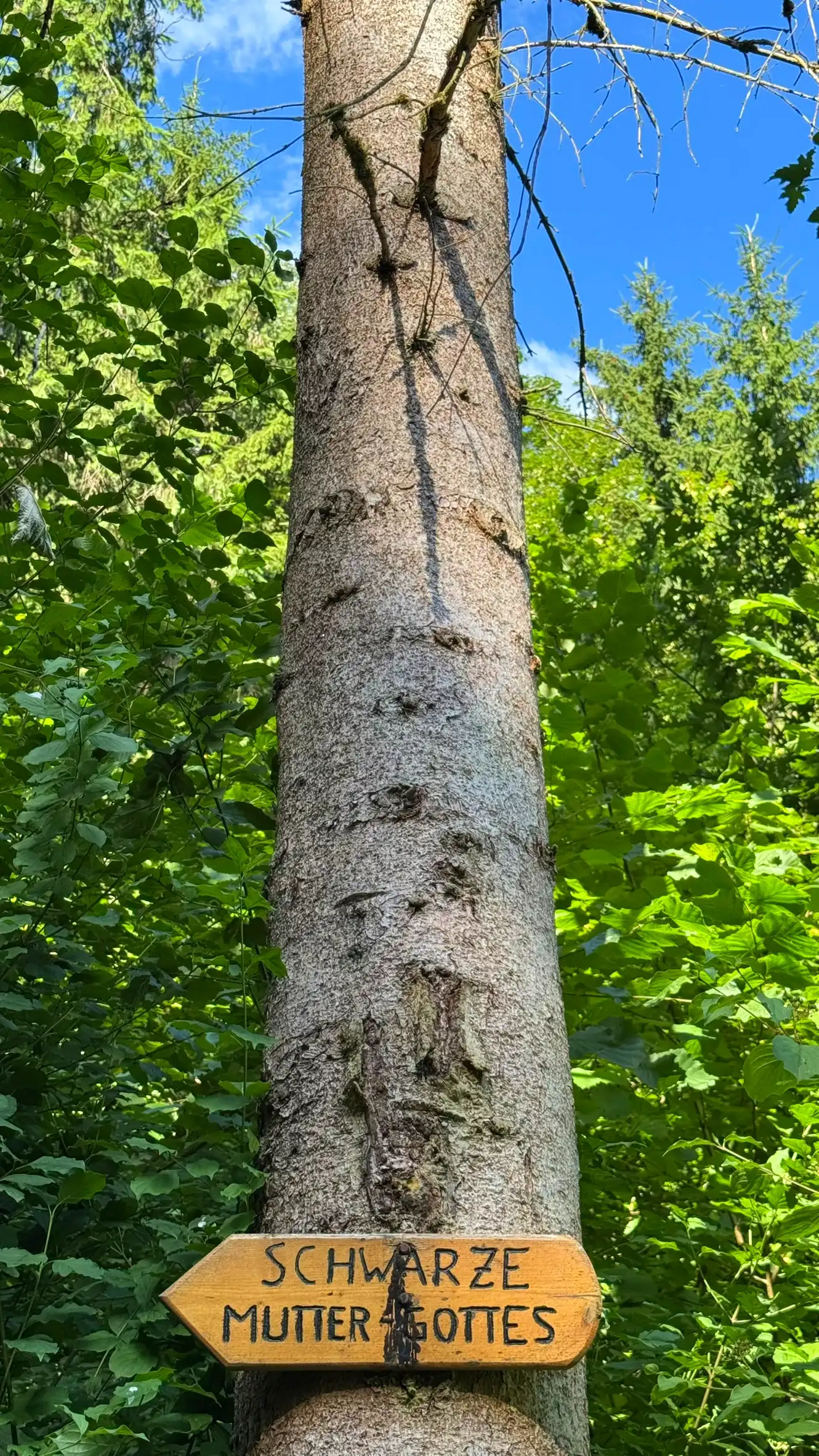 Waldwegweiser: „Schwarze Mutter-Gottes“