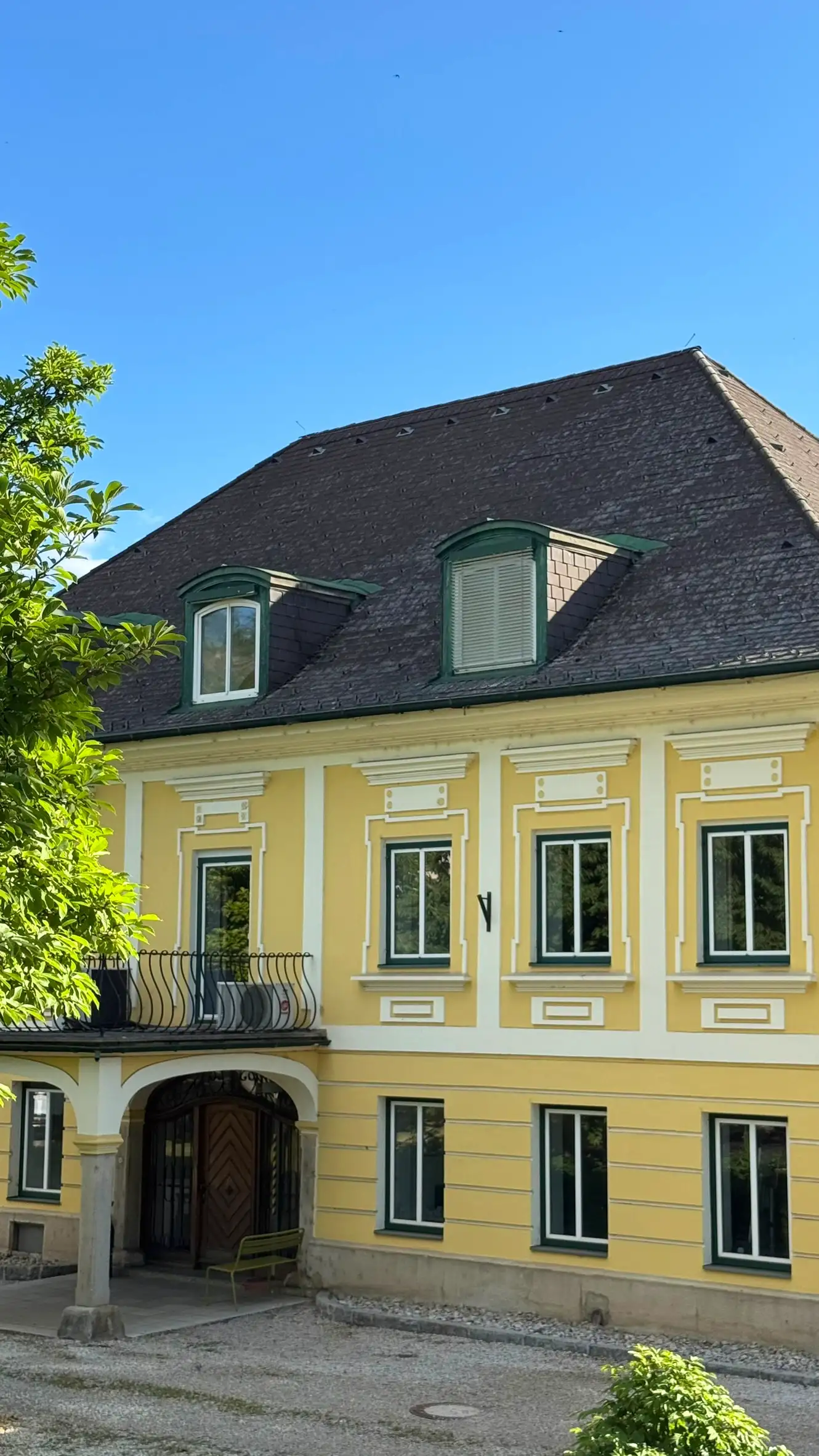 2_IMG_0893_Brightness 8_Saturation 10