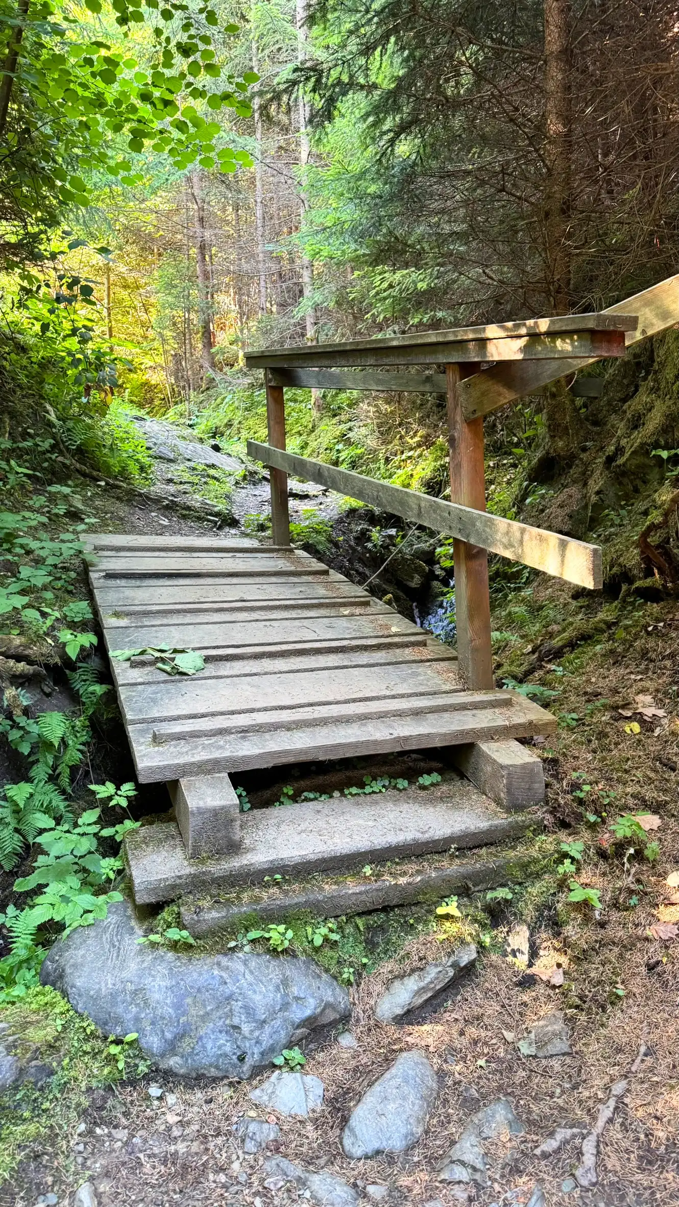 Wooden bridge with wooden balustrade