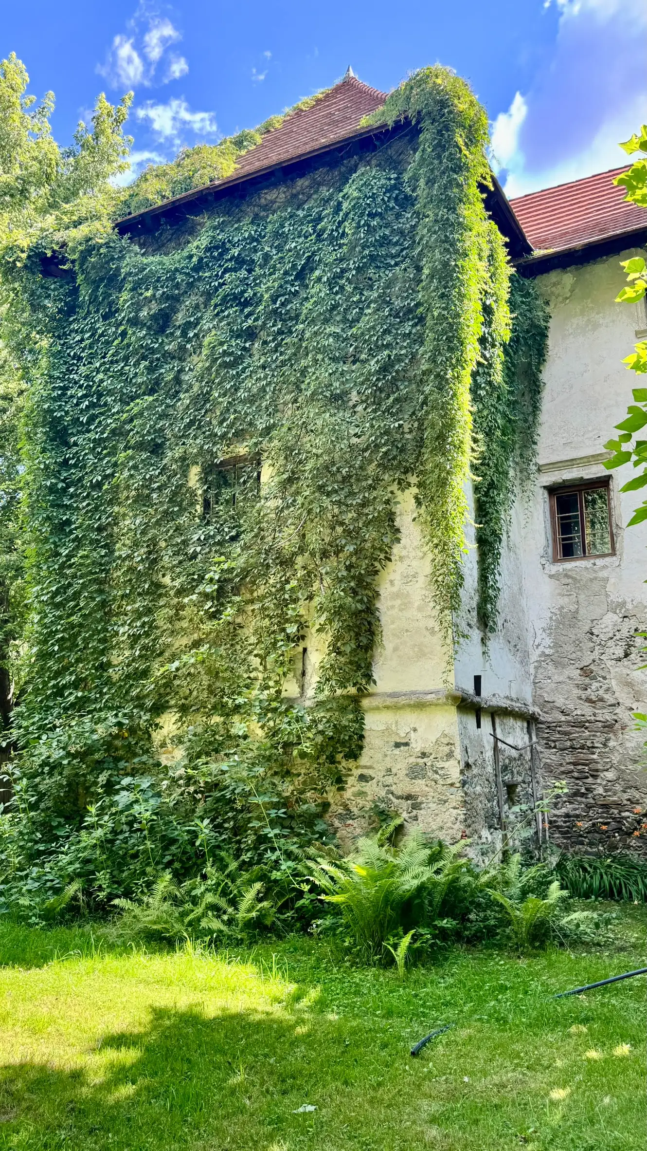 5_IMG_0972