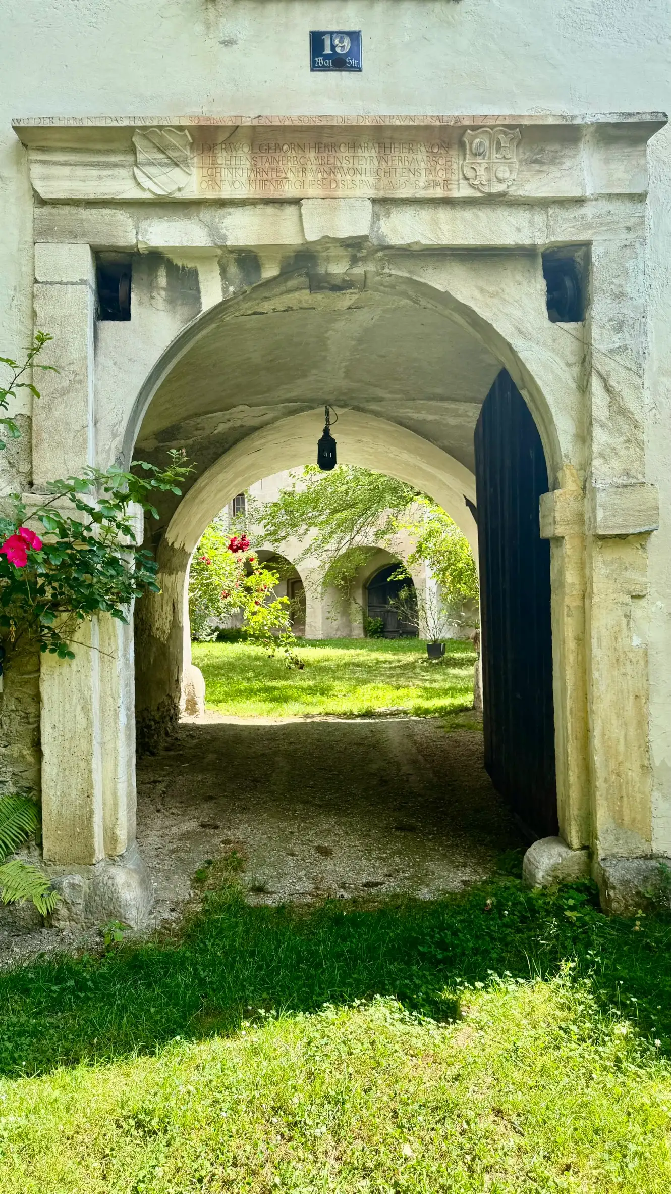 6_IMG_0977