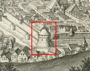 Merian 1649_cropped_dm