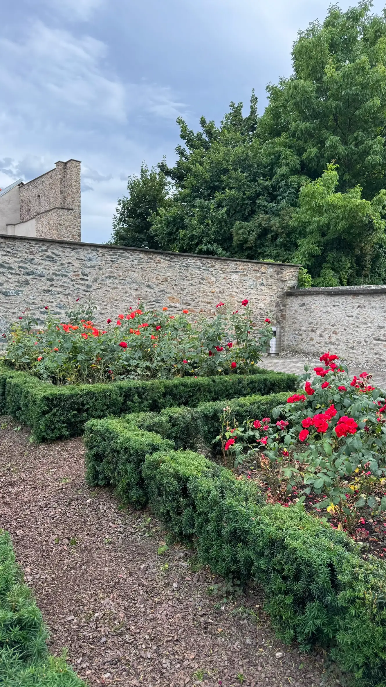 Two rectangular flowerbeds, each enclosed by a low hedge