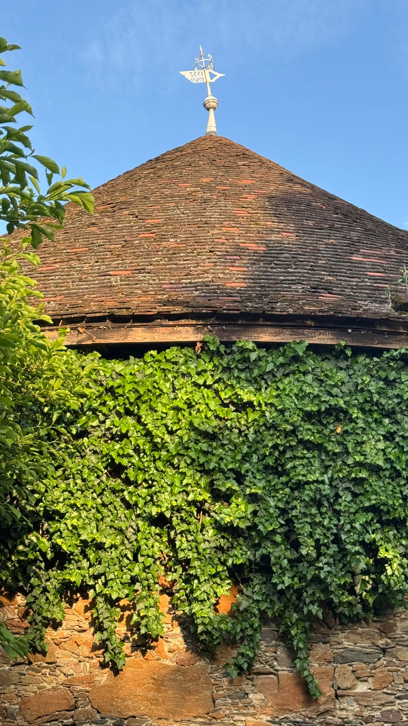 Vegetation covering the circular wall of the bastion tower.