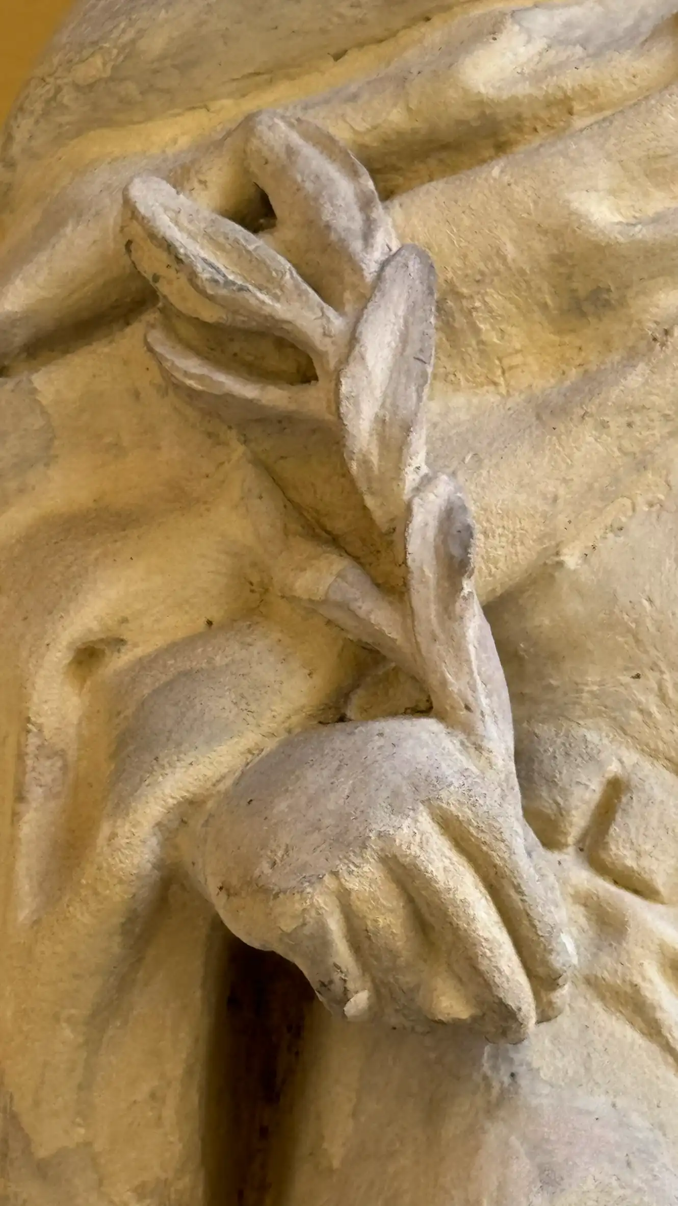 Close-up of the right hand