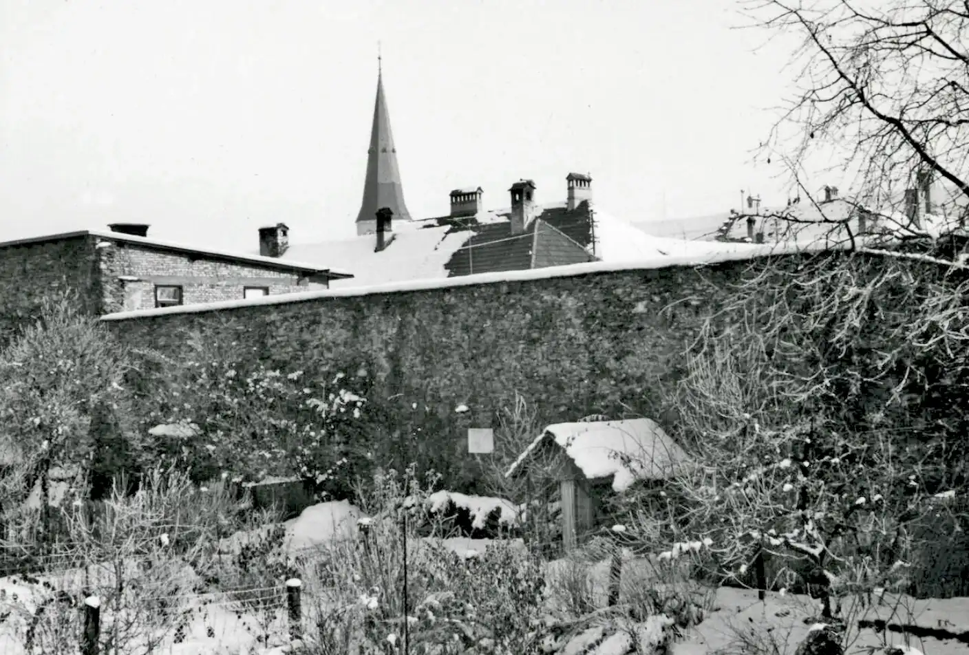 stadtmauer_dm