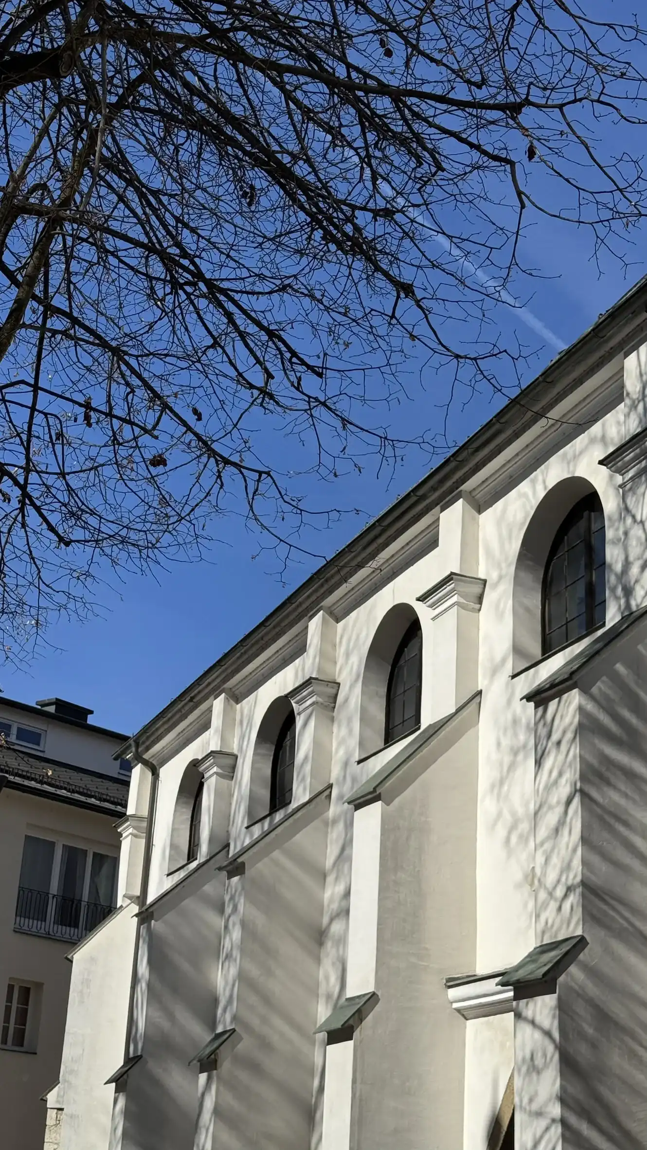 Südseite des Schiffs mit Strebepfeilern und Obergadenfenstern