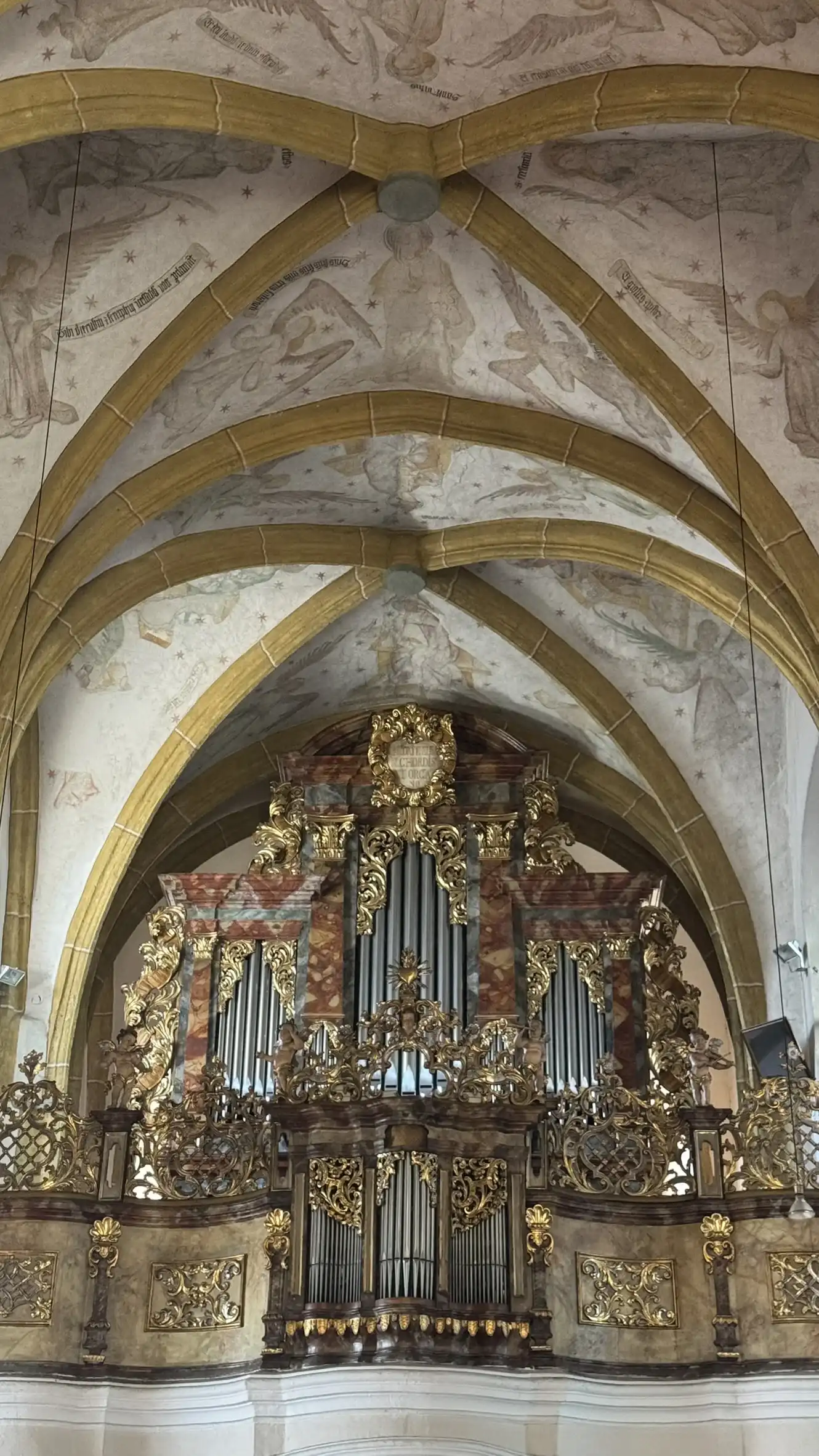 Kirchenorgel und gewölbte Decke