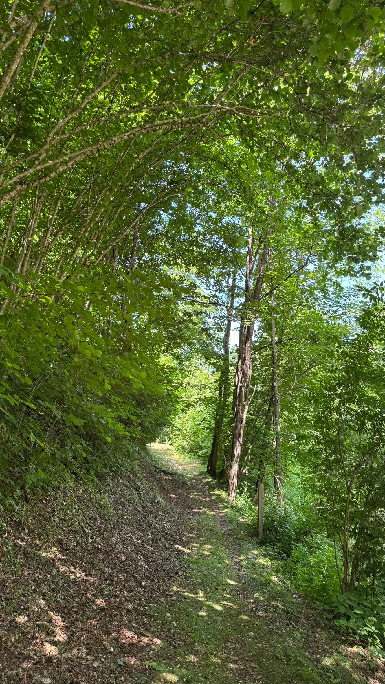 Well-kept paths wind through the park’s spruce, beech and maple forest.